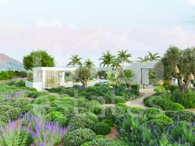 ibiza-estate