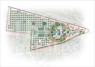 ibiza-estate