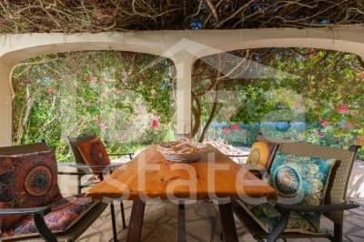 ibiza-estate