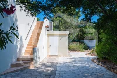 ibiza-estate
