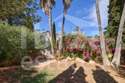 ibiza-estate