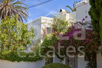 ibiza-estate