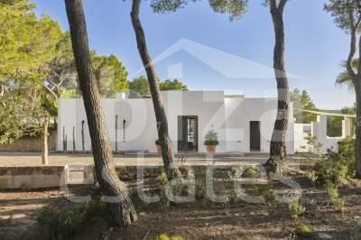 ibiza-estate