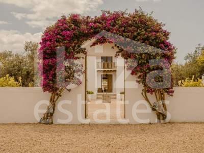 ibiza-estate