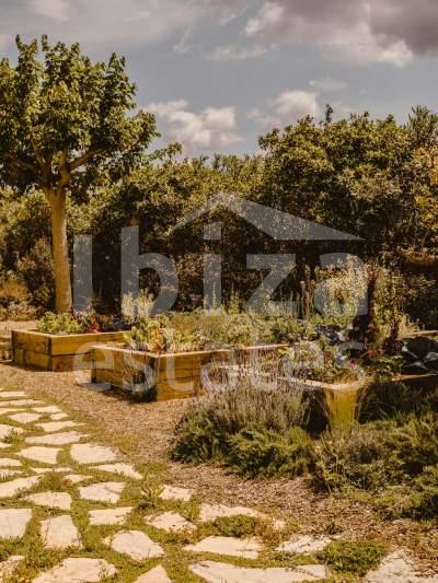 ibiza-estate
