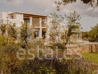ibiza-estate