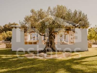 ibiza-estate