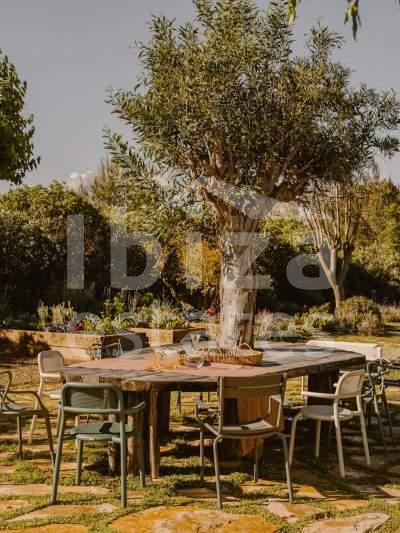 ibiza-estate