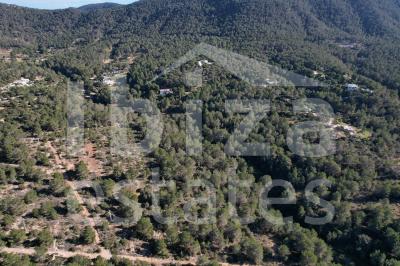ibiza-estate
