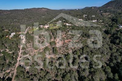 ibiza-estate