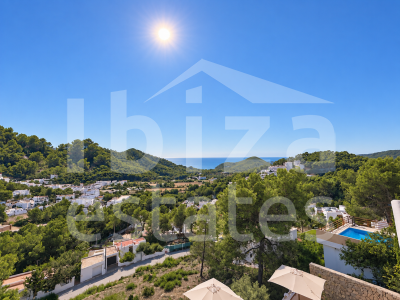 ibiza-estate