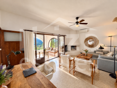 ibiza-estate