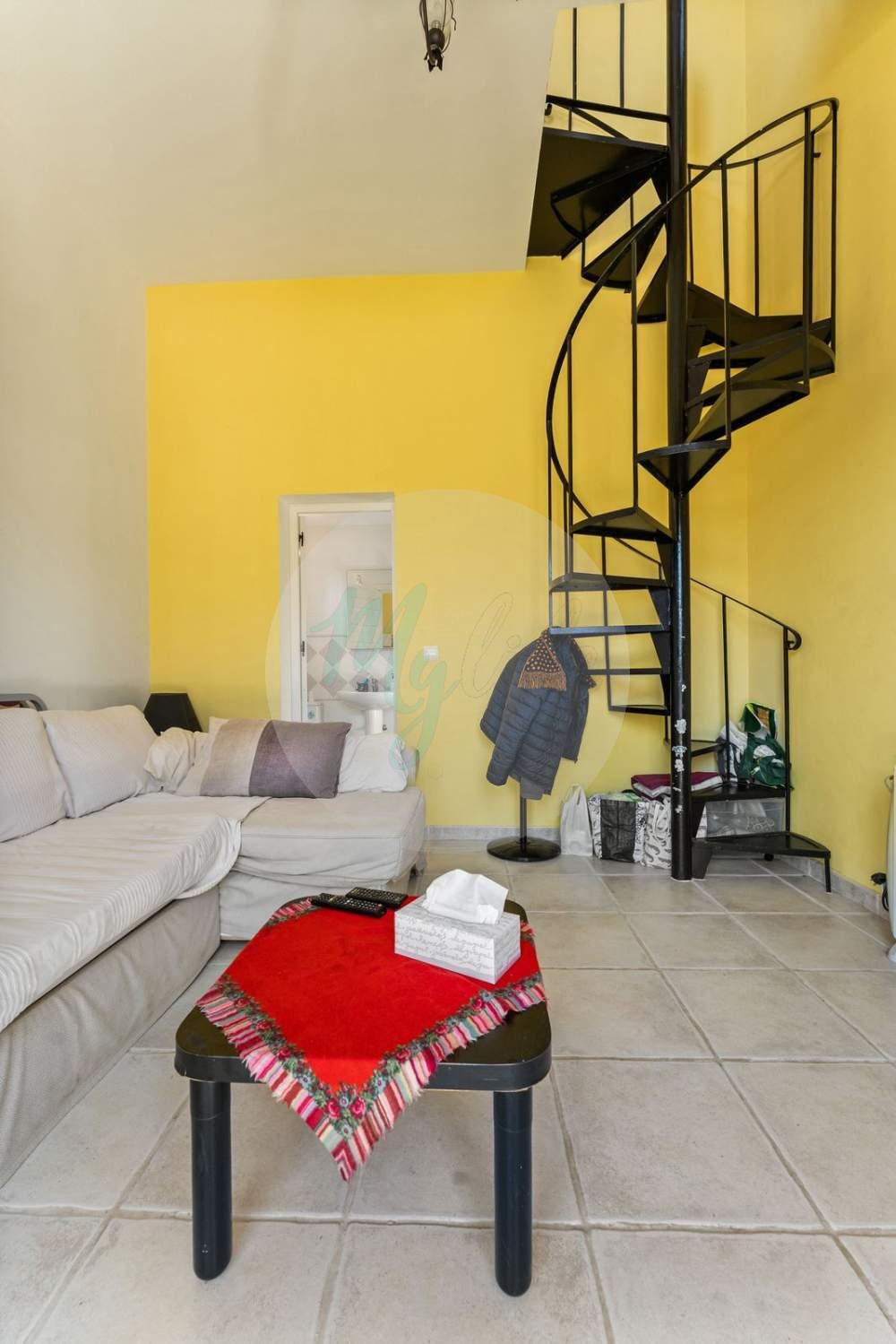 Mayorista y distribución en Mijas