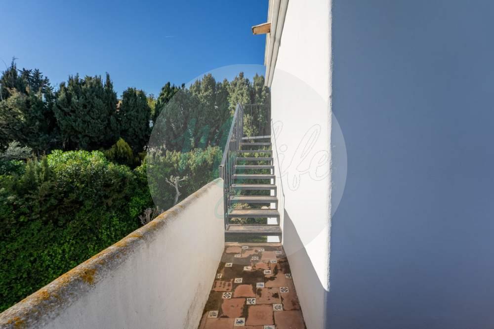 Mayorista y distribución en Mijas