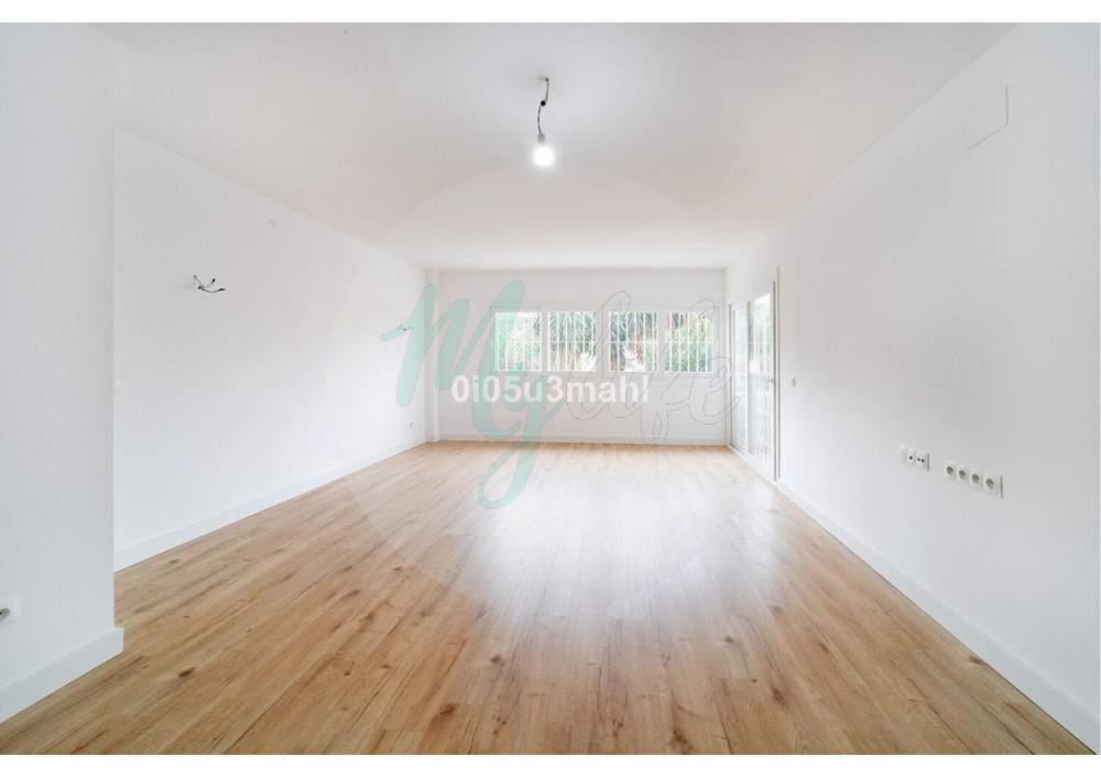 Media planta en El Palo