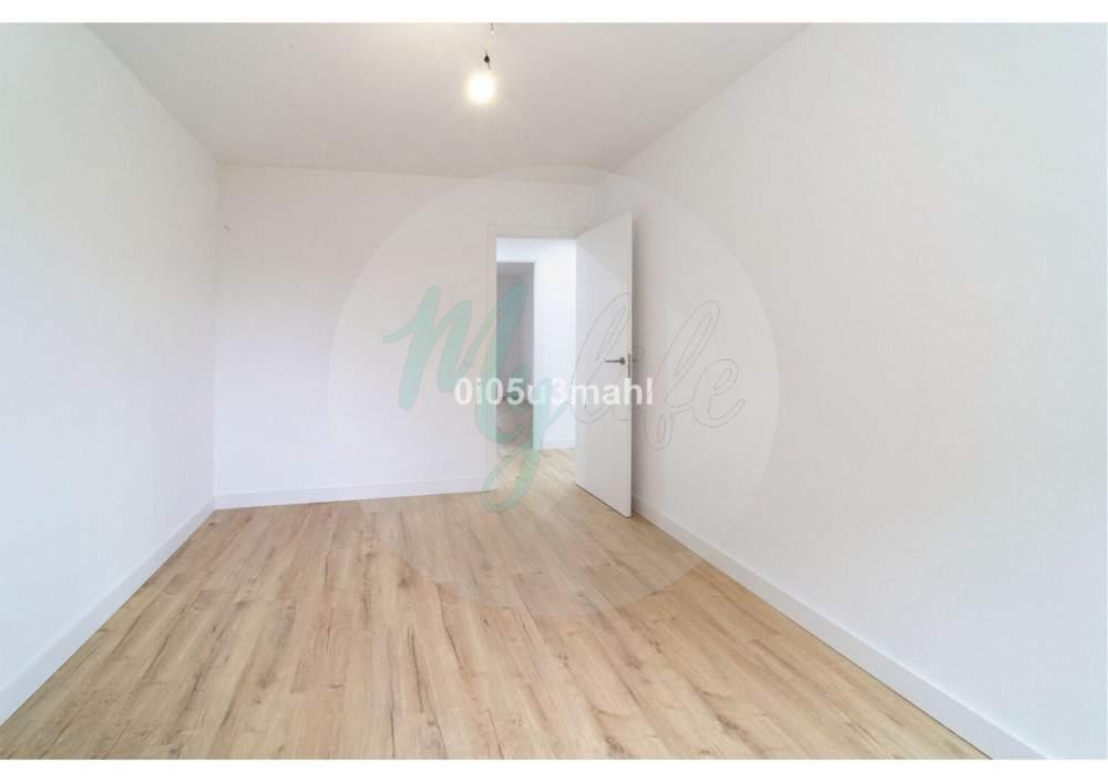 Media planta en El Palo