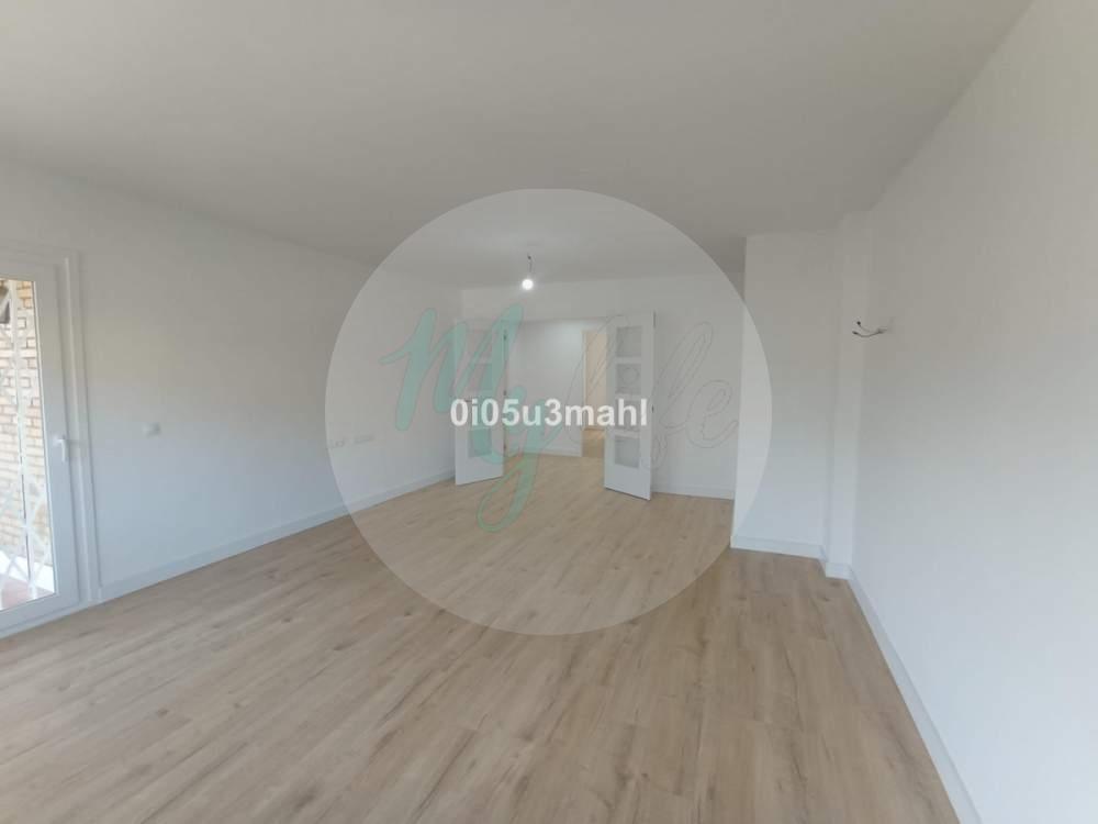 Media planta en El Palo