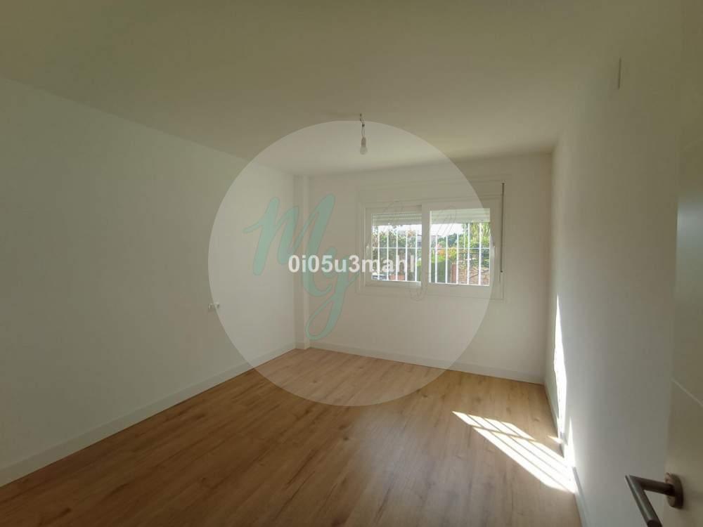 Media planta en El Palo