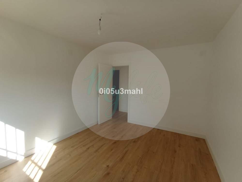 Media planta en El Palo