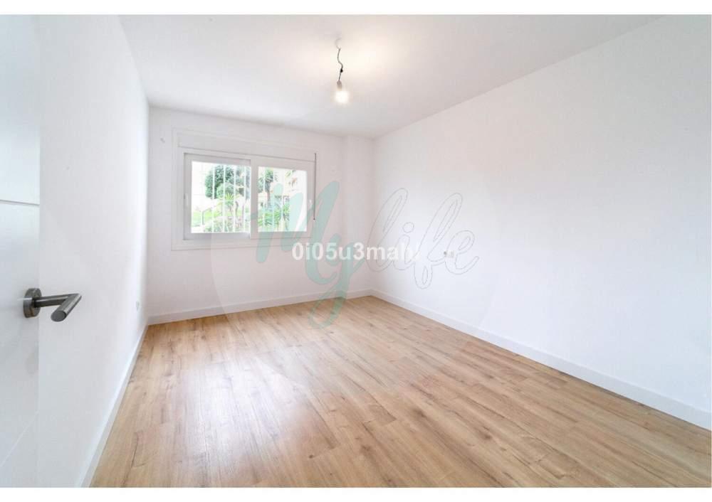 Media planta en El Palo