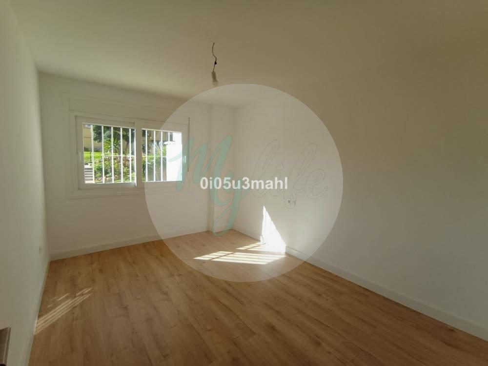 Media planta en El Palo