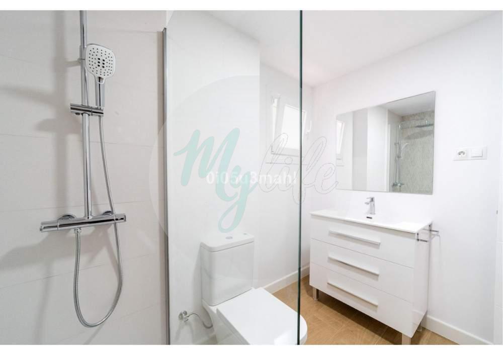 Media planta en El Palo