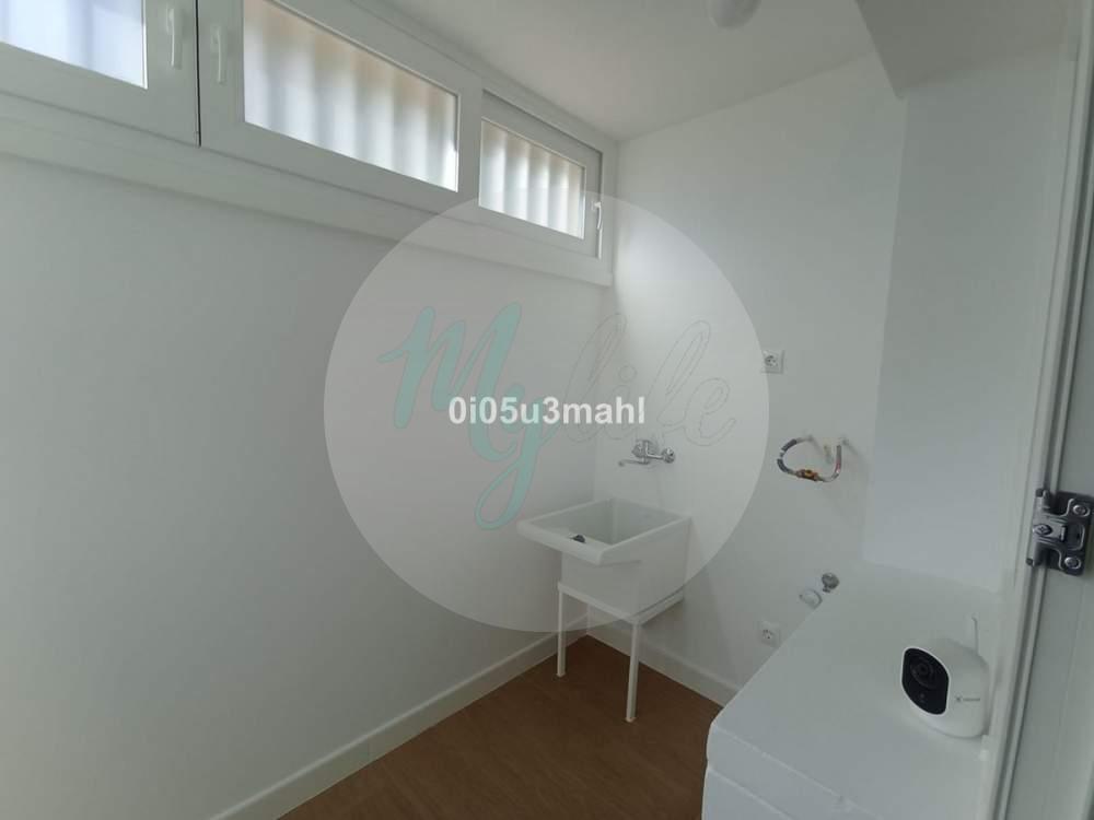 Media planta en El Palo