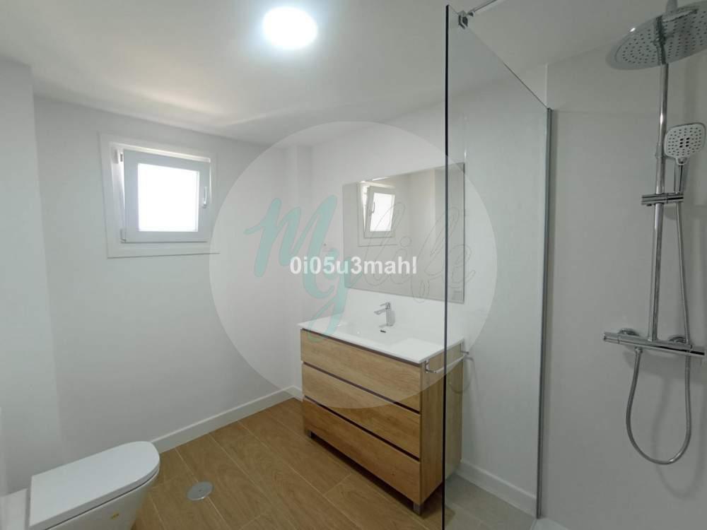 Media planta en El Palo