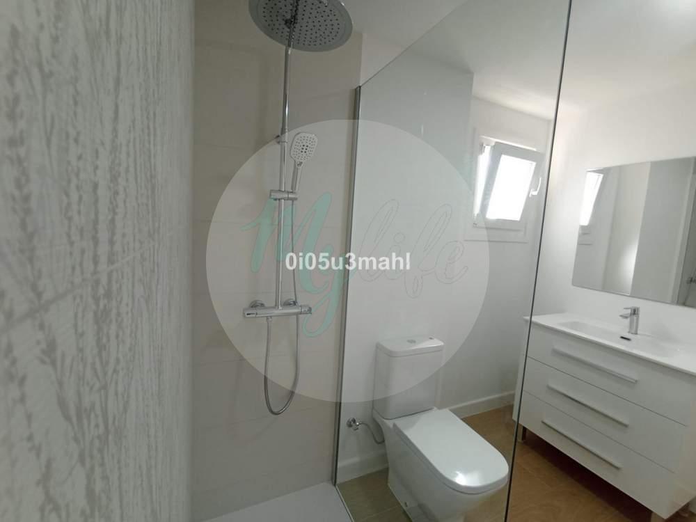 Media planta en El Palo