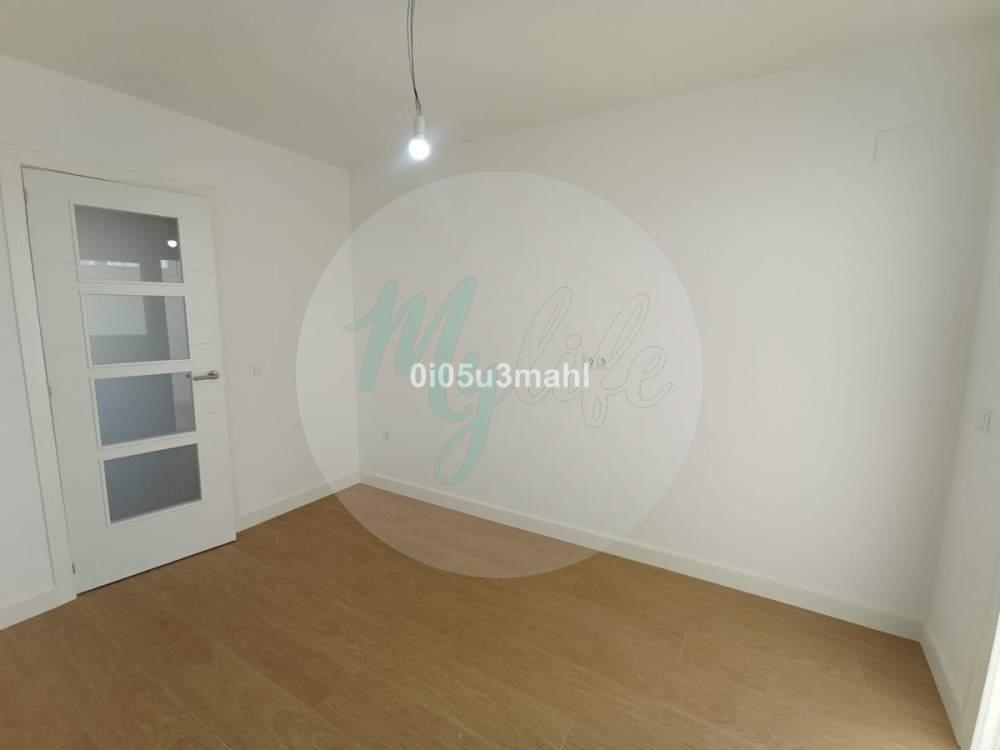 Media planta en El Palo