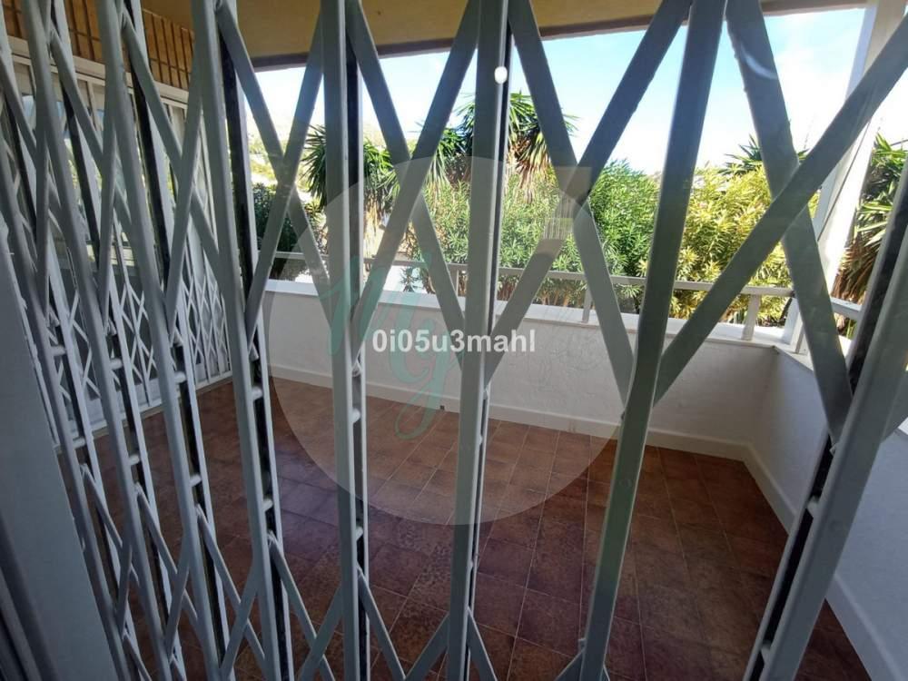 Media planta en El Palo