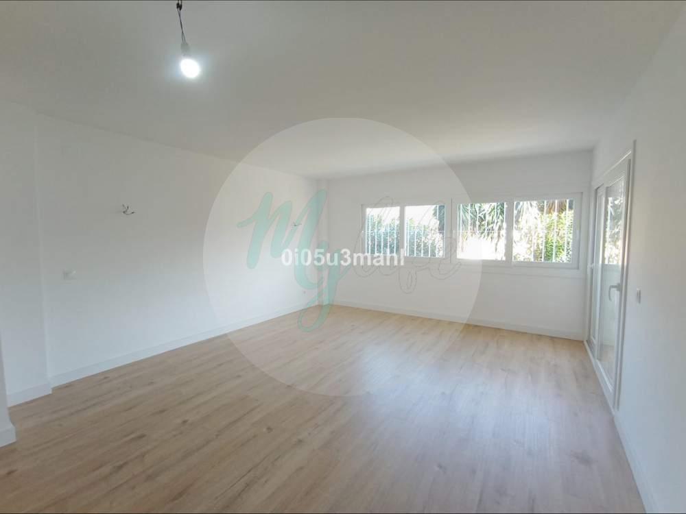 Media planta en El Palo