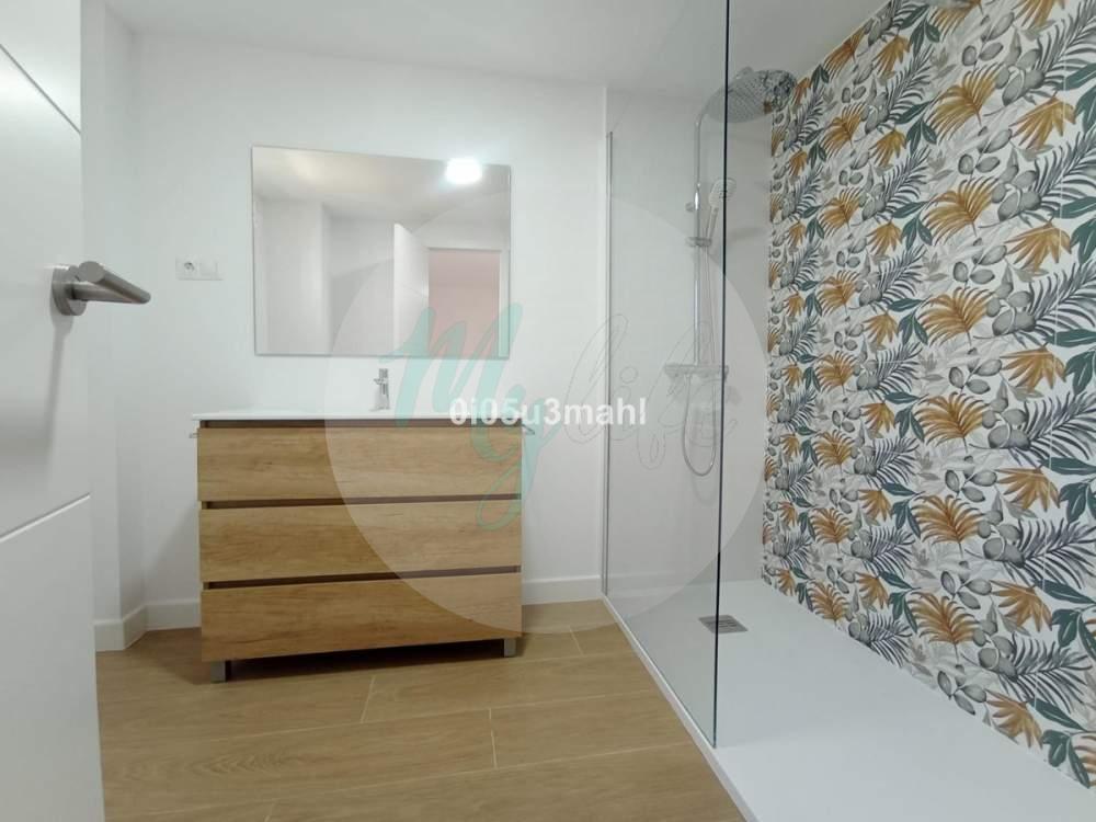 Media planta en El Palo