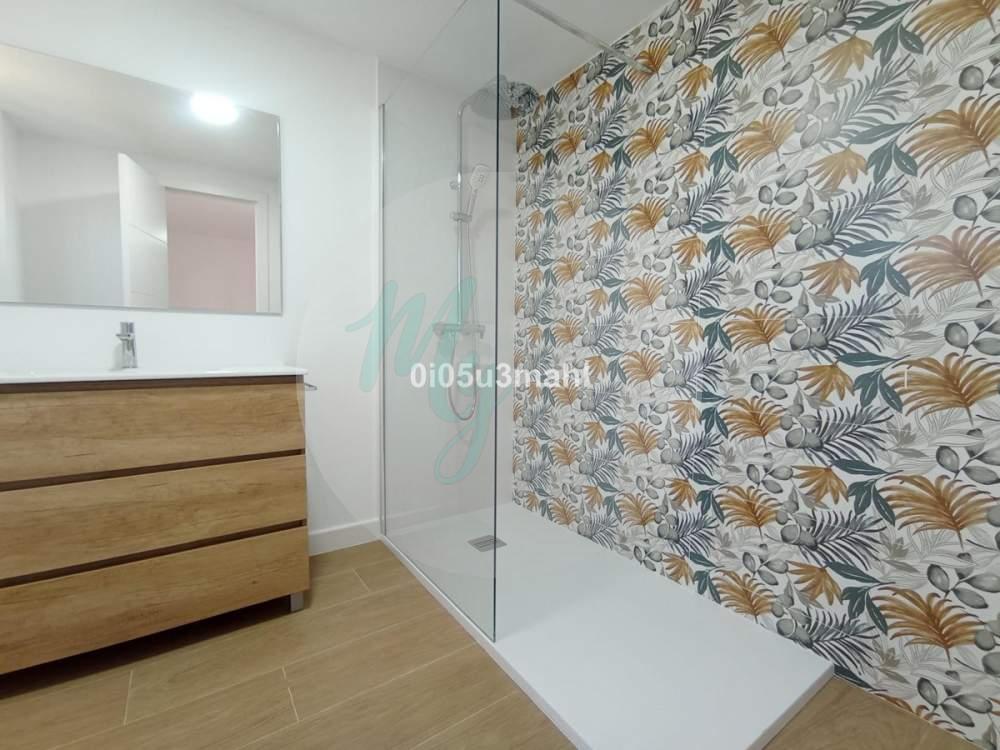 Media planta en El Palo