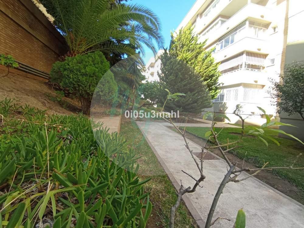 Media planta en El Palo