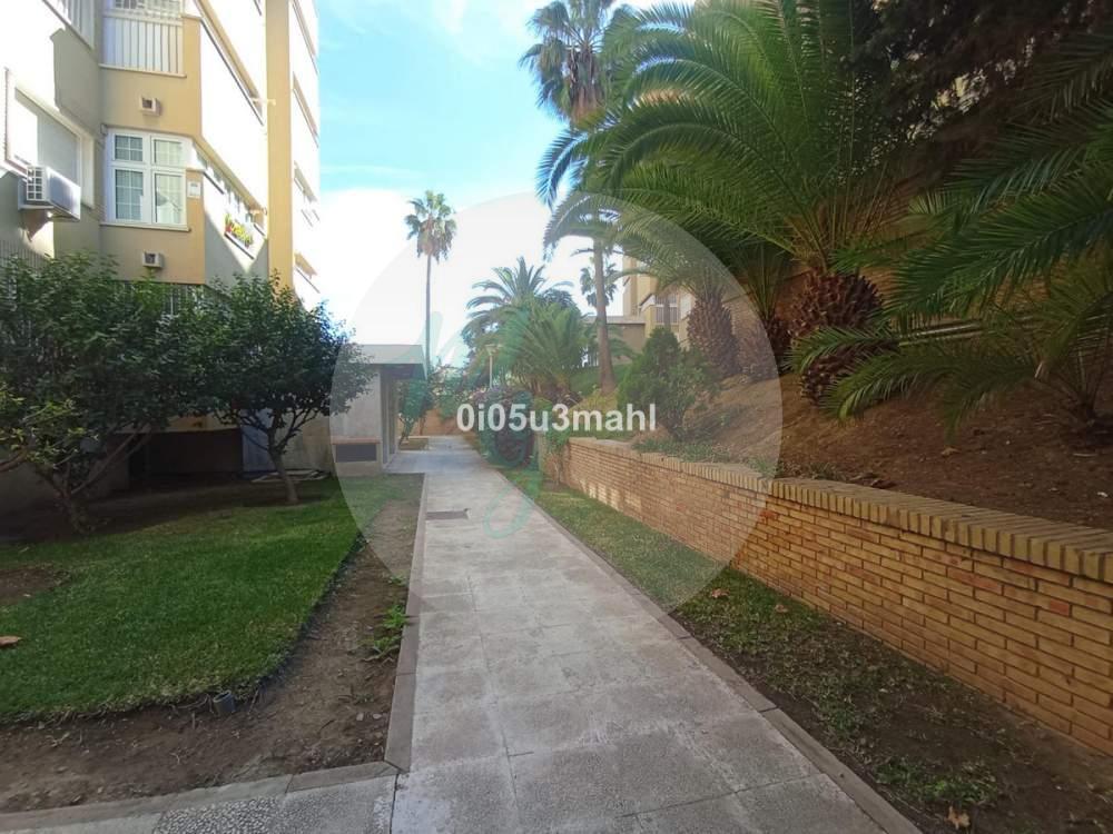 Media planta en El Palo