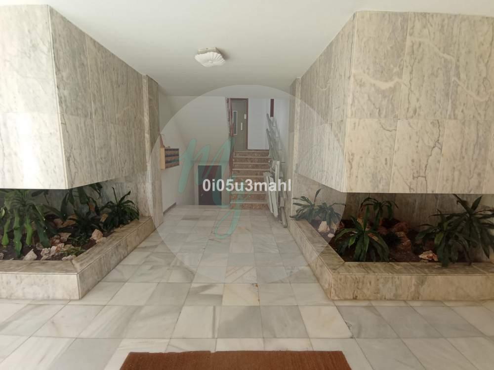 Media planta en El Palo