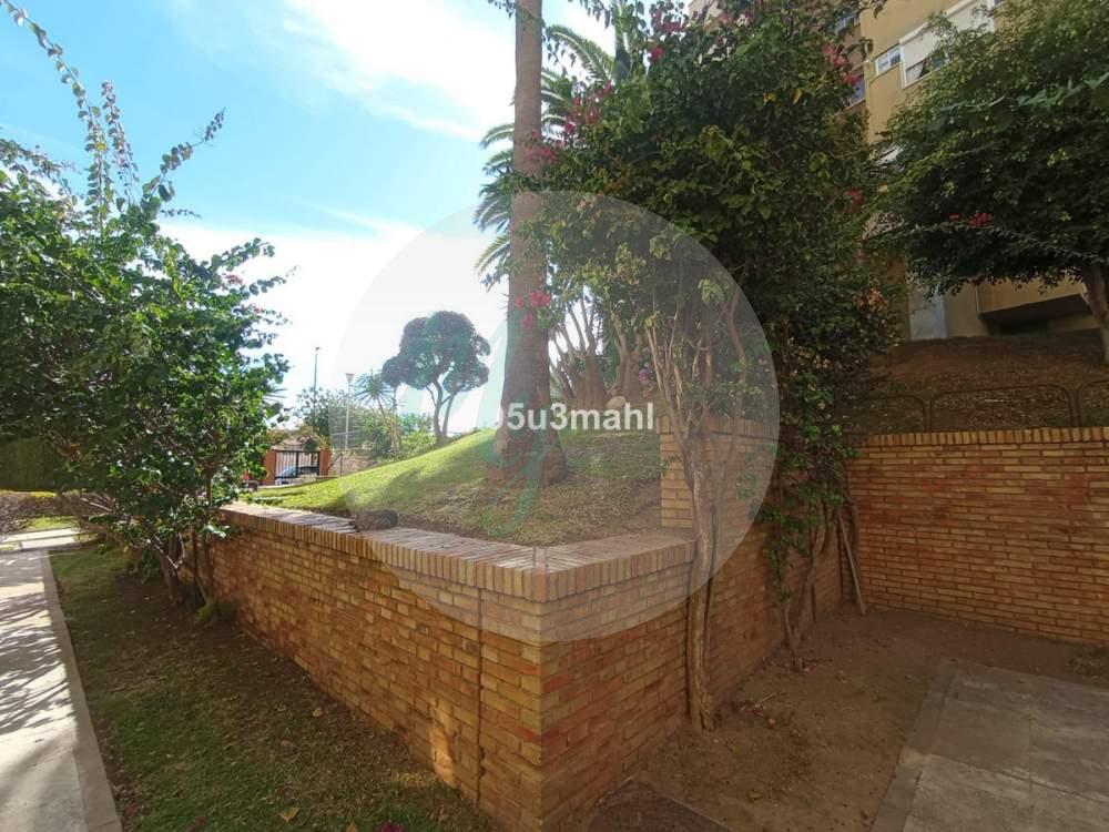 Media planta en El Palo