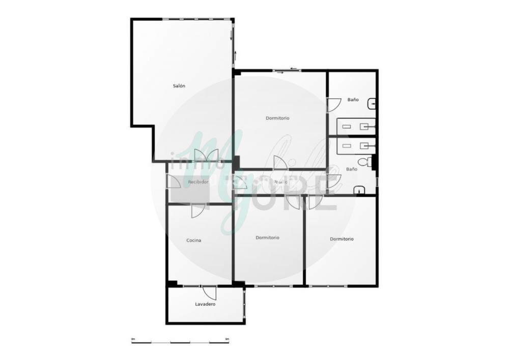 Media planta en El Palo