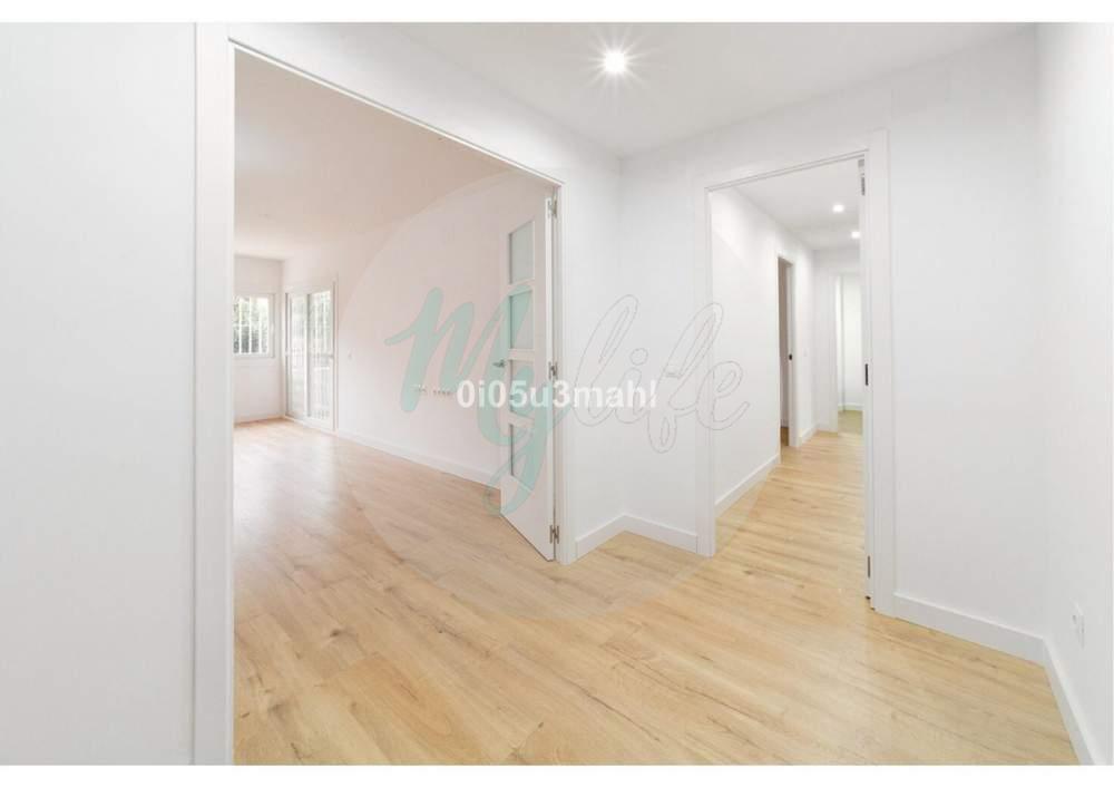 Media planta en El Palo