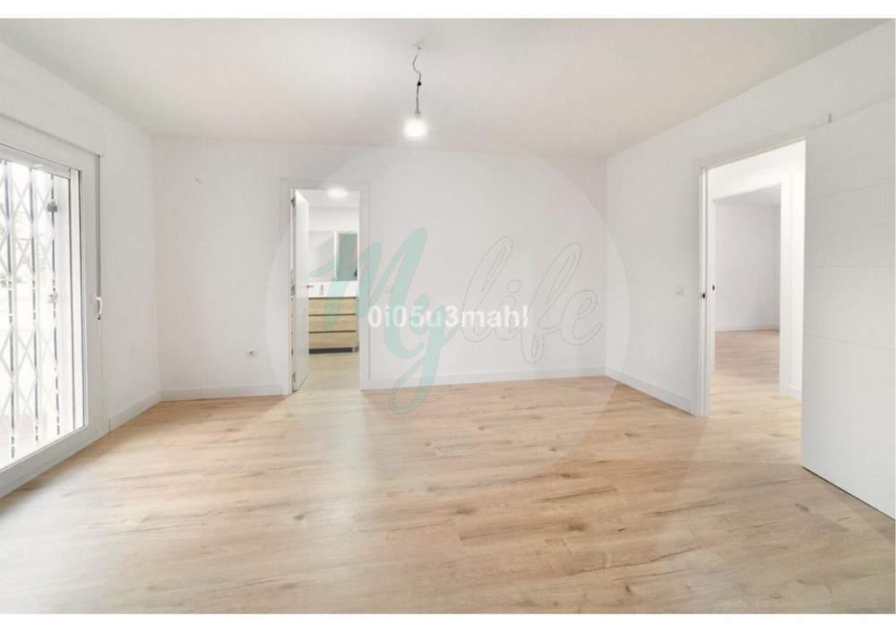 Media planta en El Palo