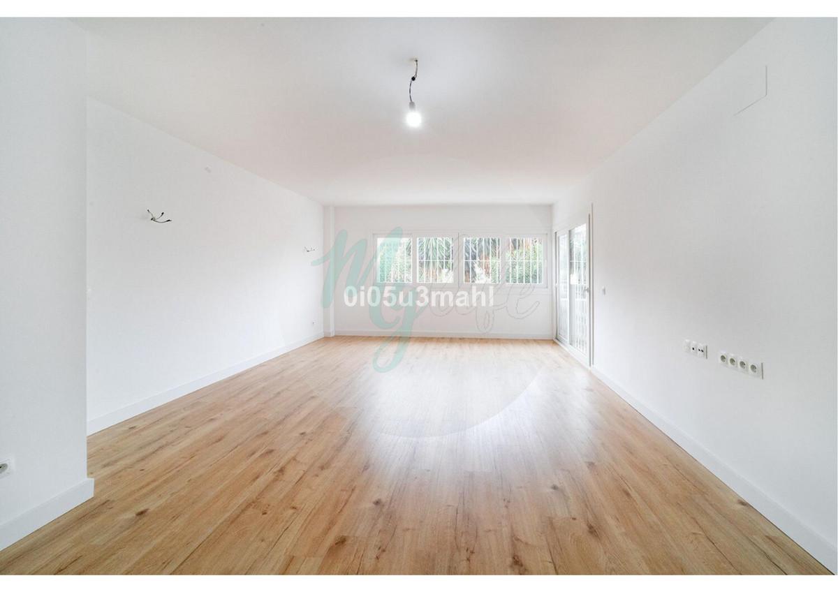 Media planta en El Palo