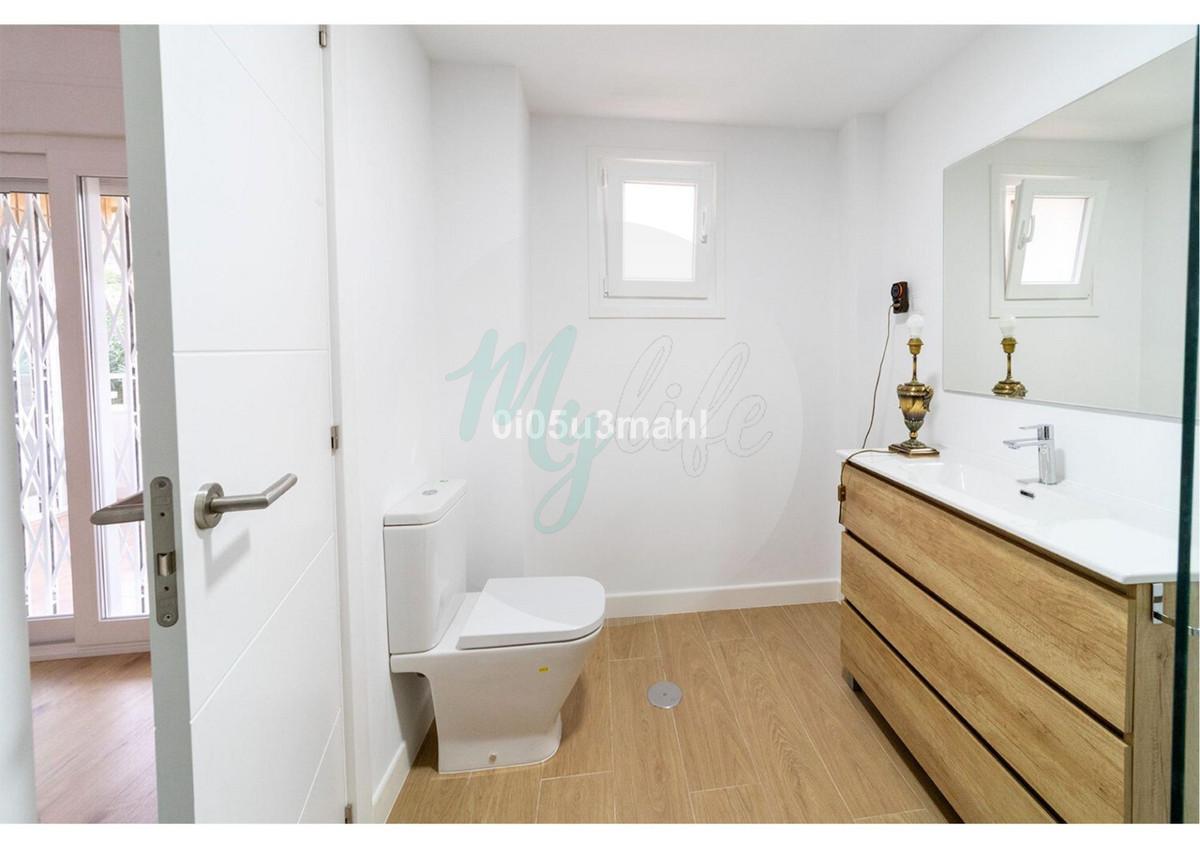 Media planta en El Palo