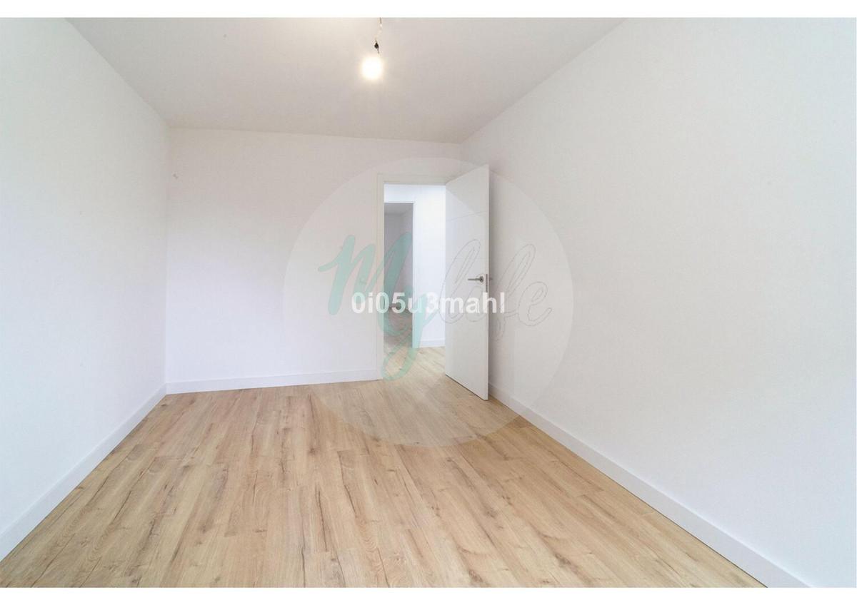 Media planta en El Palo