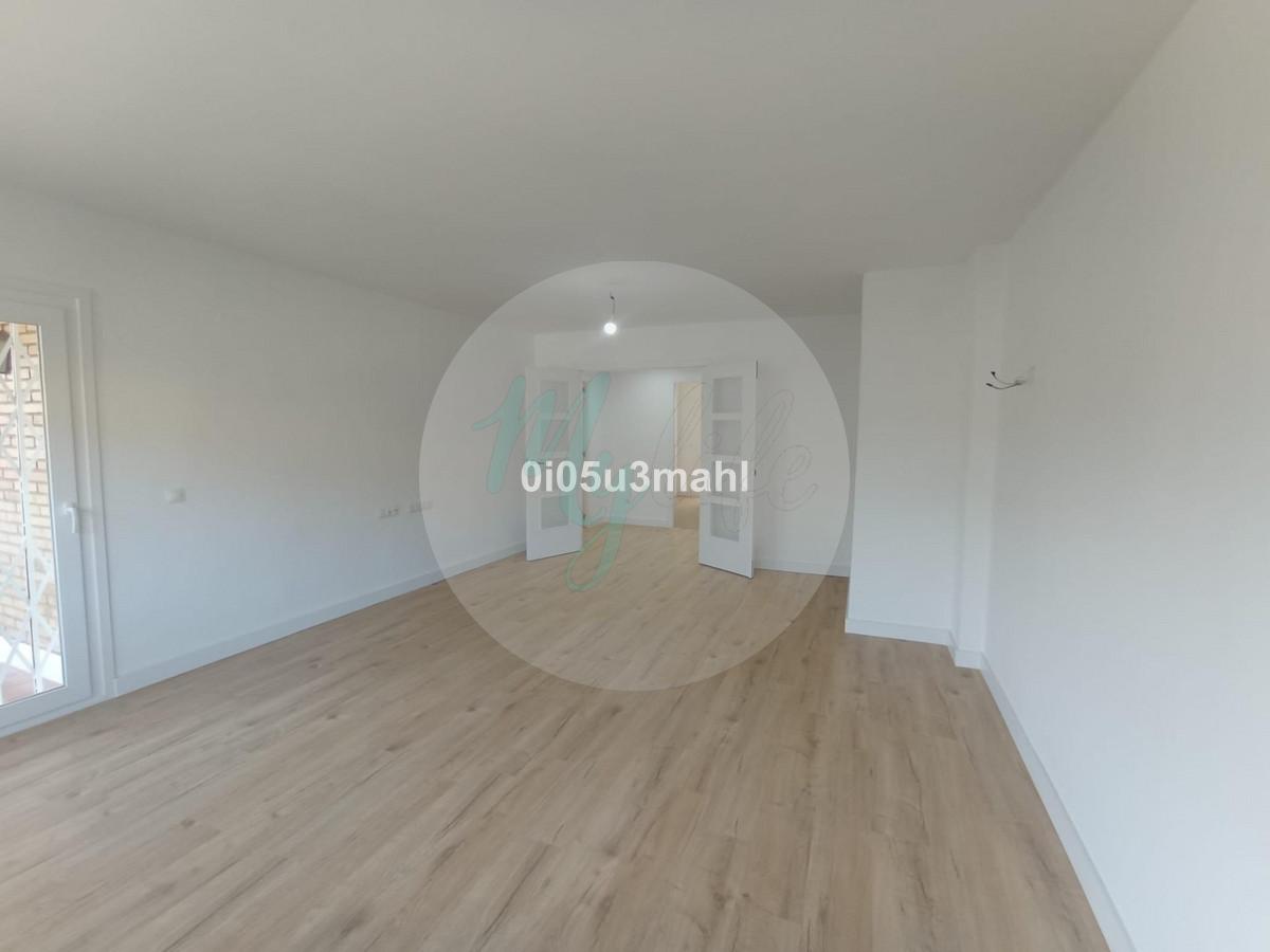 Media planta en El Palo