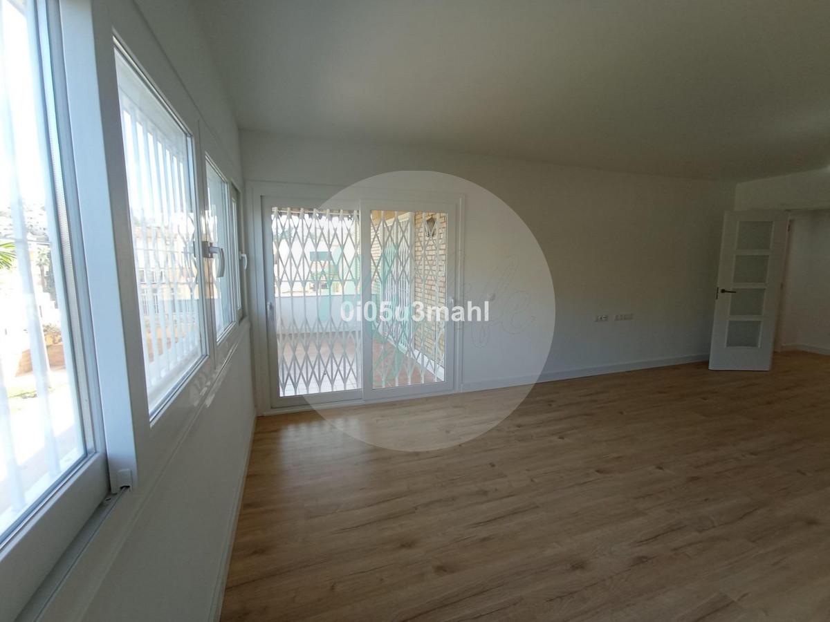 Media planta en El Palo