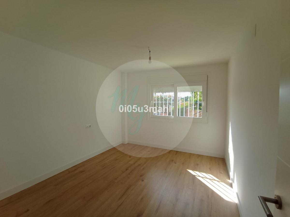 Media planta en El Palo