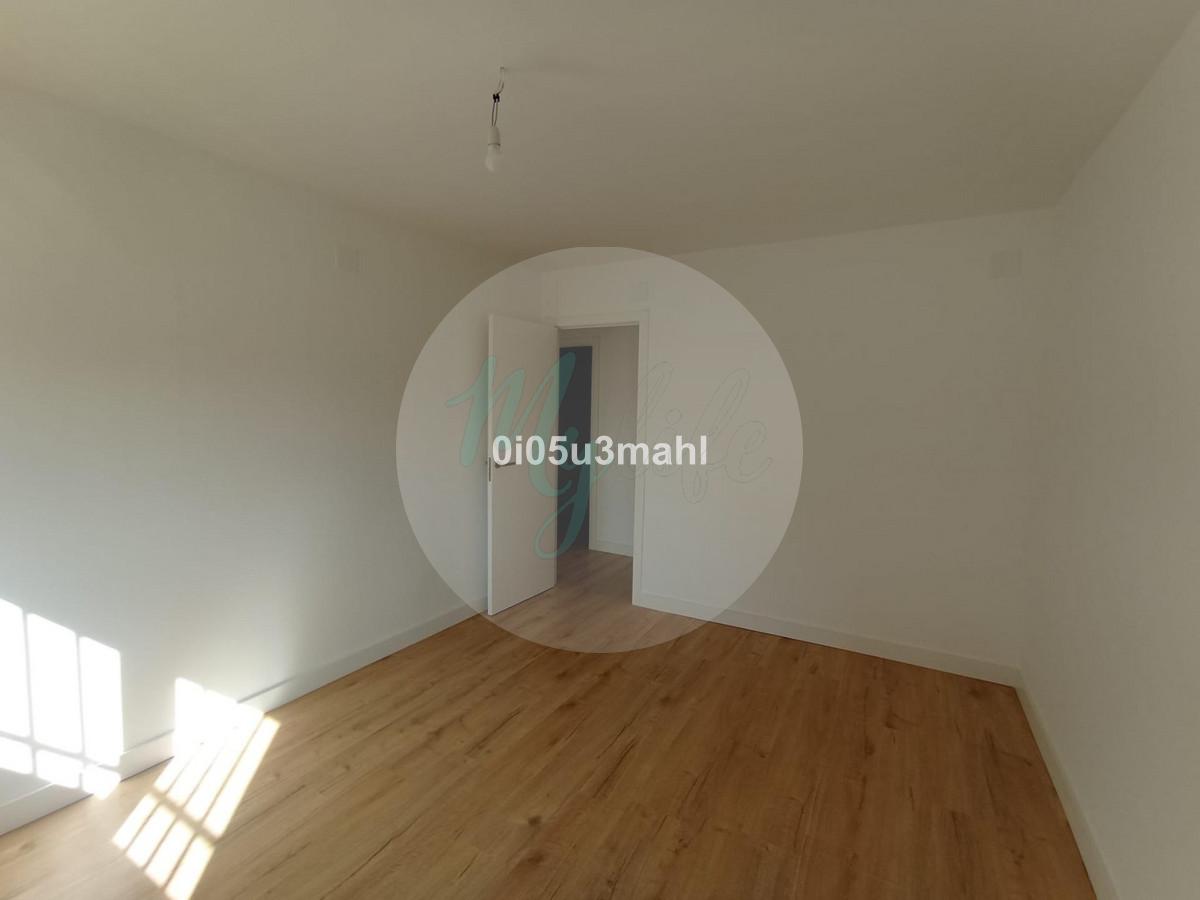 Media planta en El Palo