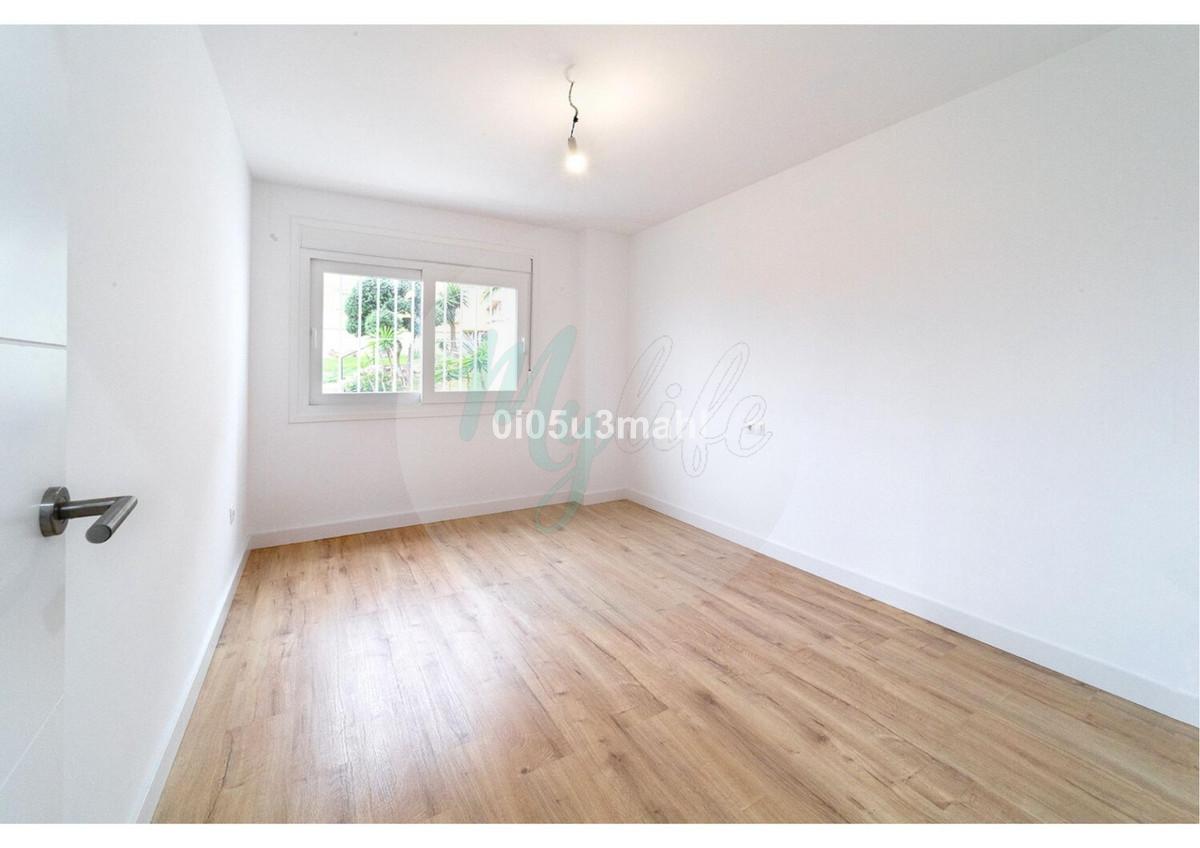 Media planta en El Palo