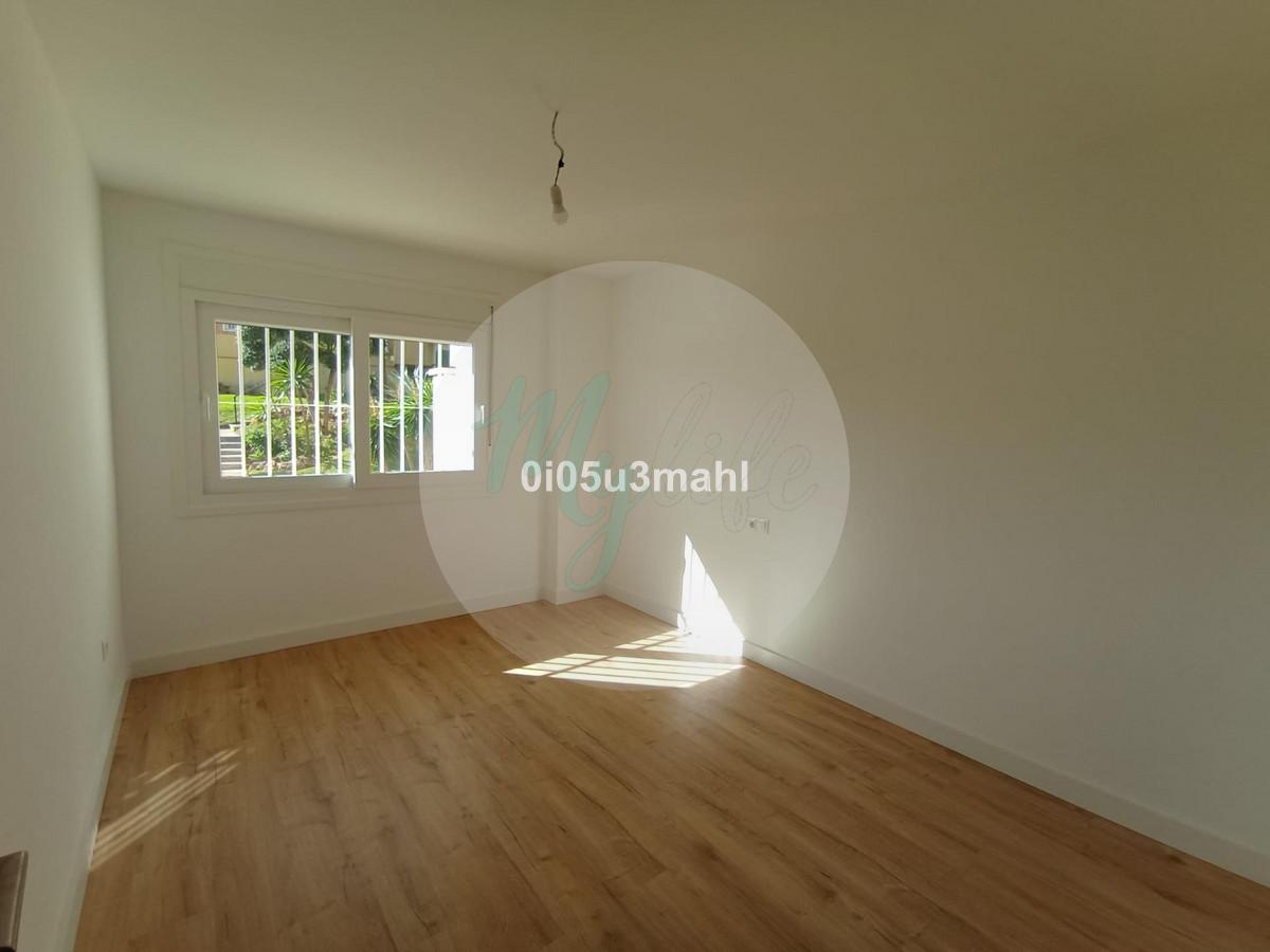 Media planta en El Palo